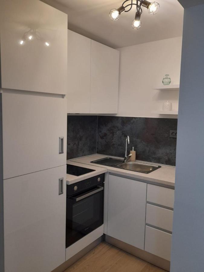 Apartament Apartman Sa Lodom 2+2 Pirovac Zewnętrze zdjęcie